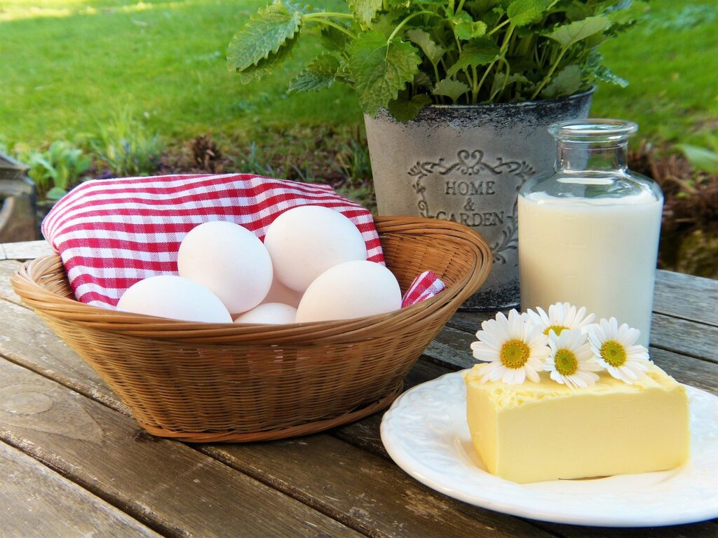 eggs, milk, butter, outdoors, garden, herbs, fresh, breakfast, break, animal protein, spring, food, meal, nourishment, diet, healthy, health, calcium, vitamins, folic acid, balanced, bio, regional, livestock farming, keeping chickens, alternatively, nature, calcium, calcium, calcium, calcium, calcium