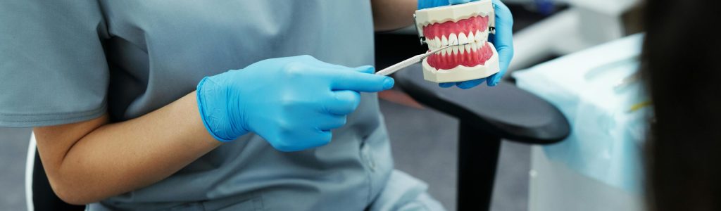 Dentist in scrubs and gloves demonstrating dental care using an oral model.