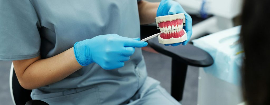 Dentist in scrubs and gloves demonstrating dental care using an oral model.